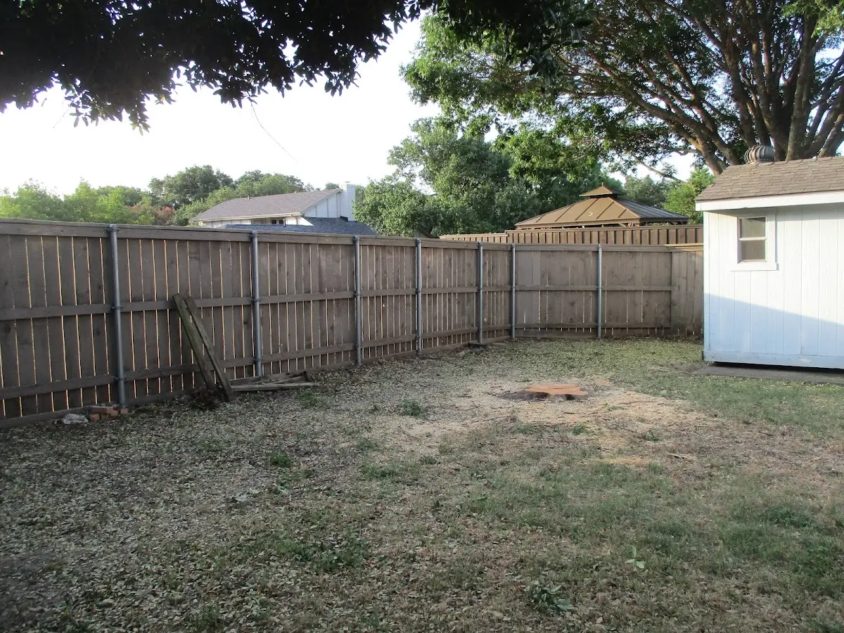 Cleared yard after professional tree removal in Turtle Creek