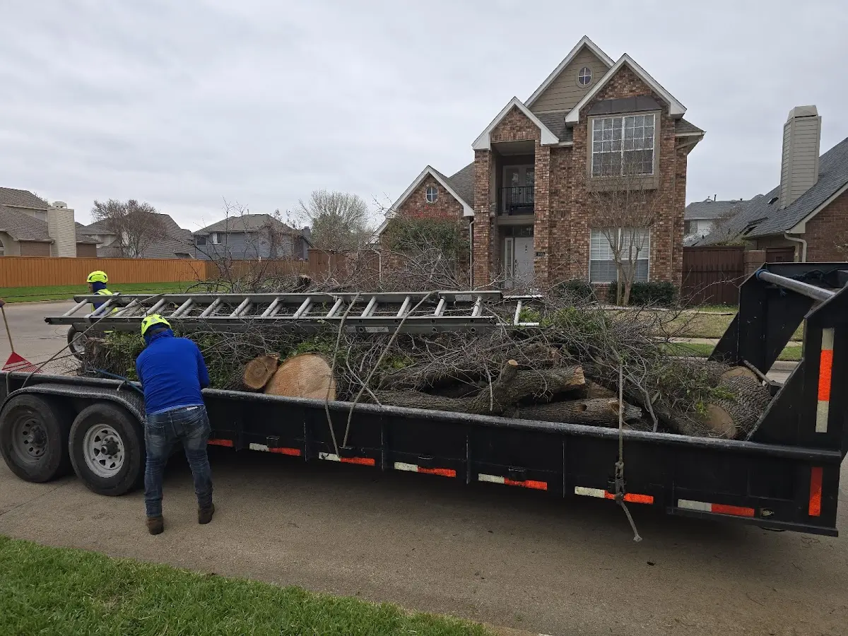 Expert Tree Fertilization with proper safety equipment in Turtle Creek